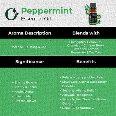 Organic Forest 100% VEGAN Peppermint Essential Oil 10 ml - Essential Oils