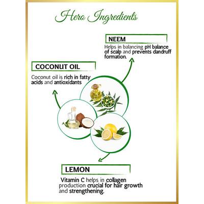 Nutrinorm Anti Dandruff Hair Oil 100 ml - Hair Oils