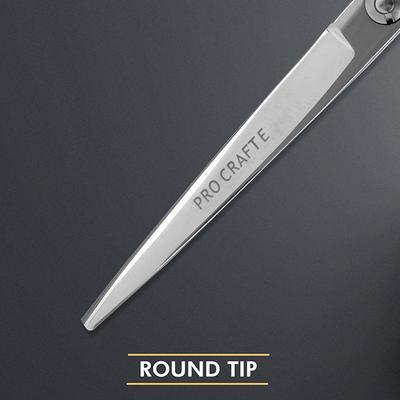 Vega Professional Pro Craft E 5.5' Silver Line Hairdressing Scissor (VPVSC-20) 1's - Grooming Kits