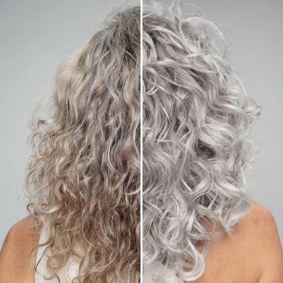 Biotop Professional 19 Pro silver mask 250 ml - Hair Masks & Packs