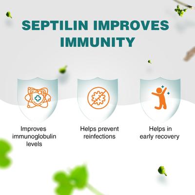 Himalaya Septilin Tablet 60's - Health Products