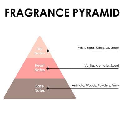 JD COLLECTIONS Mon Delight Pour Femme Perfume for Women 100 ml - Women Perfumes (Edt/Edp)