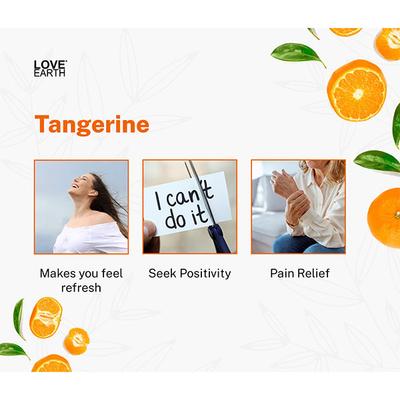 Love Earth Premium Mandarin Tangerine Reed Diffuser with Tangerine Essential Oil 30 ml - Air Fresheners