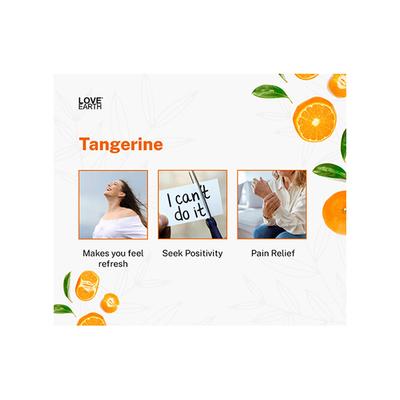 Love Earth Premium Mandarin Reed Diffuser Toxin Free Long Lasting Fragrance 30 ml - Diffuser