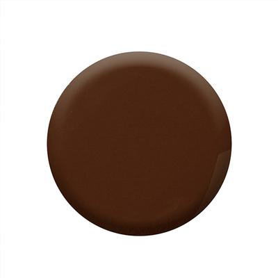 Colorbar Chocolate Flow - (564) 12 ml - Nail Polish