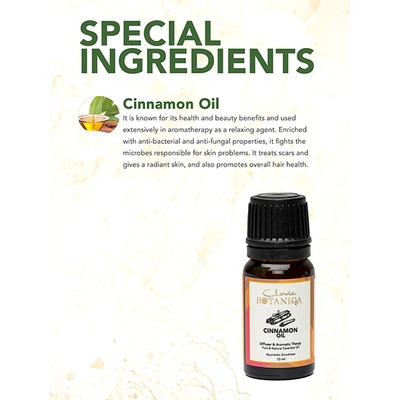 Clovia Botaniqa Pure Cinnamon Essential Oil 10 ml - Essential Oils