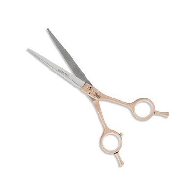 Vega Professional Goldwings 6' Gold Line Hairdressing Scissor (VPPSC-02) 1's - Grooming Kits