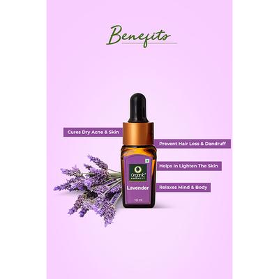 Organic Harvest Essential Oil - Lavender 10 ml - Essential Oils