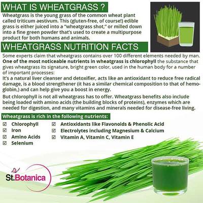 St.Botanica Wheatgrass Juice with Aloevera 500 ml - Ayurvedic Juices