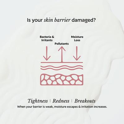 Akind On Cloud Nine Lightweight Moisturizer 50 gm - Face Moisturizers