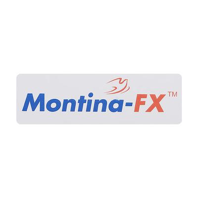MONTINA FX Tablet 10's - Allergies-Ant