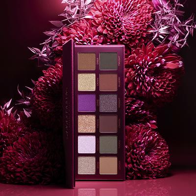 Anastasia Beverly Hills 2023 Fall Romance Palette 13.32 gm - Eye Shadow Palettes