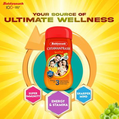 Baidyanath Chyawanprash Awleh 250 g - Chyawanprash