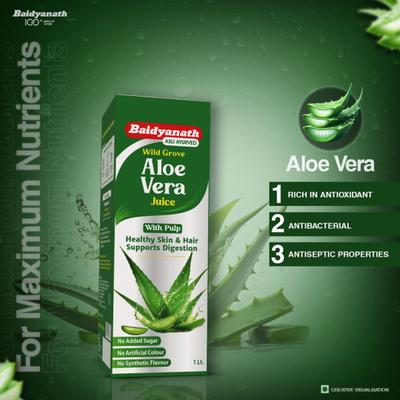 Baidyanath Wild Grove Aloe Vera Juice 1 L - Ayurvedic Juices