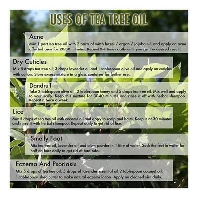 Nyassa Tea Tree Essential Oil 100% Pure & Natural 10 ml - Essential Oils