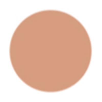 PAC Take Cover Concealer 15 Dessert Suede 6.8 gm - Concealer