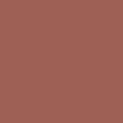 FACESCANADA Matte Addiction Lipstick Fierce Brown 10 3.7gm - Lipsticks