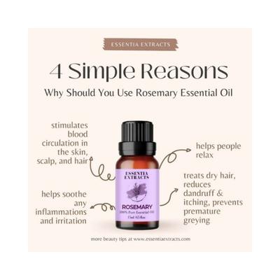 Essentia Extracts Rosemary Essential Oil 15 ml - Essential Oils