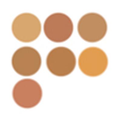 PAC Go Concealer X6 Medium 1.5 gm - Concealer