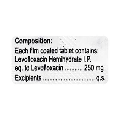 LEVOGAT 250 Tablet 10's - Bacterial Infections-Qui