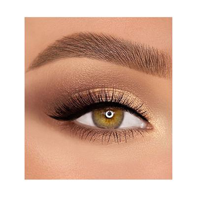 Shivanna Colors Iconic Pro Palette - HF384 02 20 gm - Eye Shadow Palettes