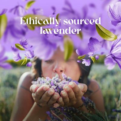 Love Beauty And Planet Argan Oil & Lavender Hair Serum For Frizz Free Hair 50 ml - Hair Serums