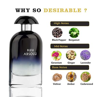 RiiFFS Bleu Absolu Eau De Parfume for men 100 ml - Men Perfumes (Edt/Edp)