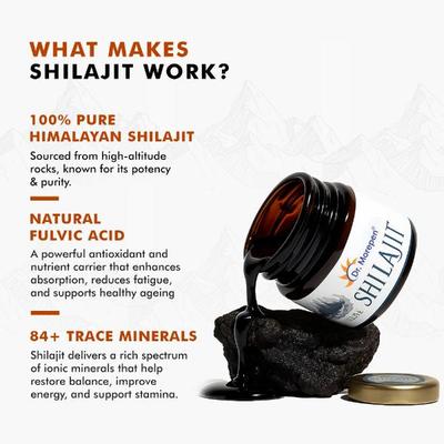 Dr. Morepen Shilajit Resin 15 gm - Speciality Medicines