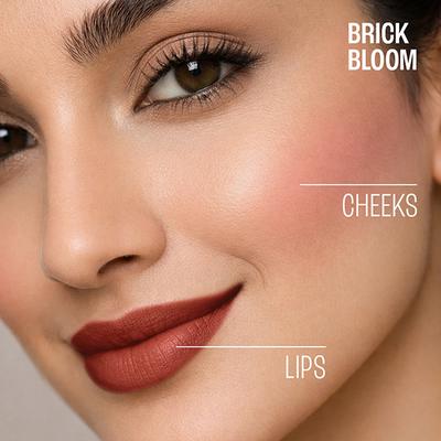 Lakme Double Duty Lip & Cheek Mousse Matte Lipstick & Soft Blush, Brick Bloom, 9gm - Lipsticks