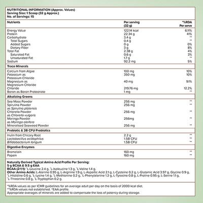 Wellbeing Nutrition Organic Vegan Plant Protein Isolate - Dark Chocolate Hazelnut 500 gm - Protein Drink