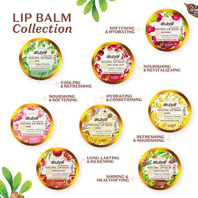 Atulya Cocoa Butter Natural Lip Balm 5 gm - Lip Balms