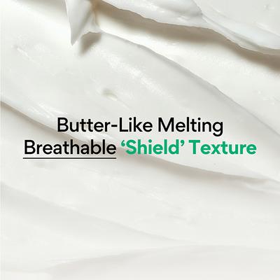 Innisfree Green Tea Ceramide Cream 50 ml - Face Moisturizers