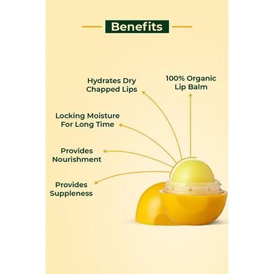 Organic Harvest Shea Butter Lip Balm 8 gm - Lip Balms