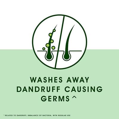 Head & Shoulders Neem Anti Dandruff for Women & Men Shampoos 340ml - Shampoos