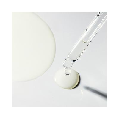 PAC Studio Finish Oil Primer 20 ml - Primer