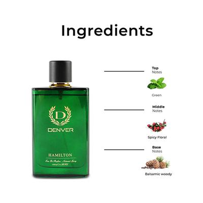 Denver Hamilton Long Lasting Perfume Body Scent for Men 100 ml - Men Perfumes (Edt/Edp)