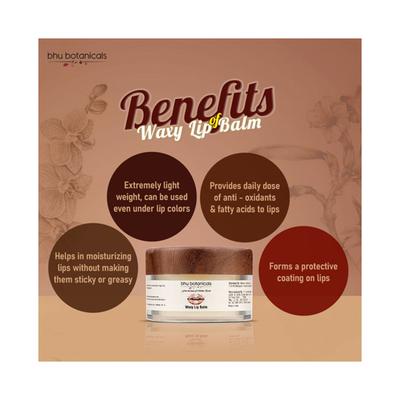bhu botanicals Waxy Lip Balm with Beeswax Avocado Oil and Shea Butter 15 gm - Lip Balms