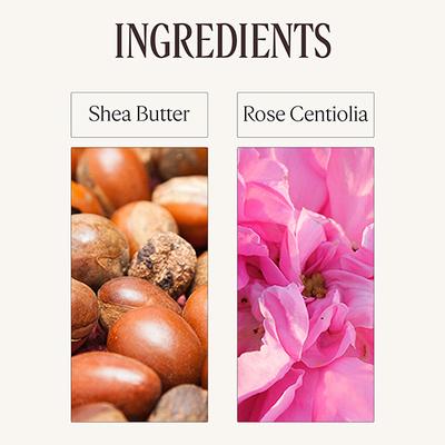 L'Occitane Rose Body Lotion 75 ml - Lotions & Creams