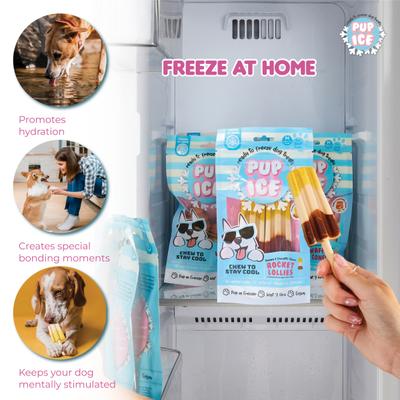 Pup Ice Rocket Lollies Banana & Chocolate Flavour 2's - Petfood
