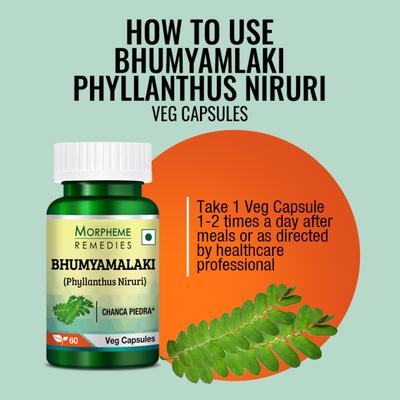 Morpheme Remedies Bhumyamalaki (Phyllanthus Niruri) Veg Capsule 60's - Herbal Dietary Supplement