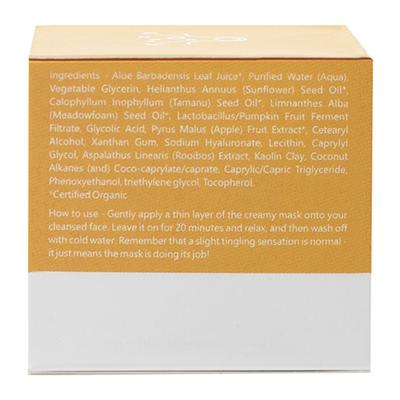 Earth Rhythm Pore Out Face Masque With Pumpkin & Glycolic Acid 60 gm - Masks & Peels