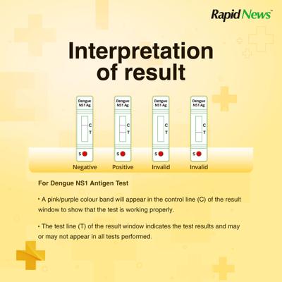 Rapid News Dengue Antigen Instant Blood Test Kit 1's - Test Strips & Lancets