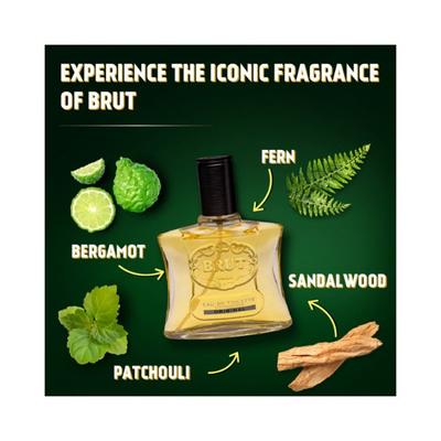 Brut Original Eau De Toilette (EDT) Perfume for Men Long-Lasting Masculine Fragrance 100 ml - Men Perfumes (Edt/Edp)