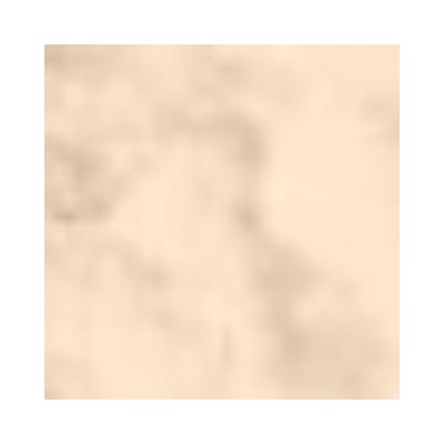 PAC Translucent Powder 03 10 gm - Loose Powder