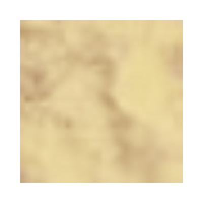 Pac Translucent Powder 06 Feather Soft All Natural Finish 10gm - Loose Powder