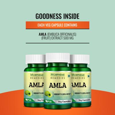 Morpheme Remedies Amla Caps 500mg Veg Caps 60's - Herbal Dietary Supplement