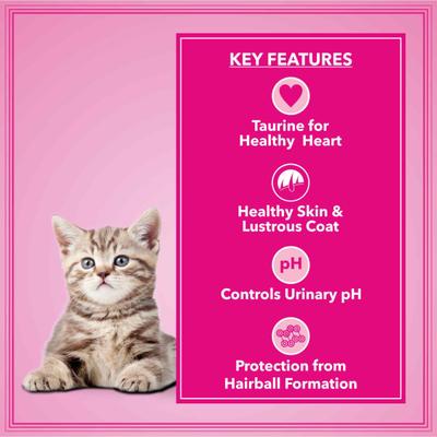 Let's Bite Active Kitten Cat Food Ocean Fish 400 gm (Buy 1 Get 1 Free) 800 gm - Petfood