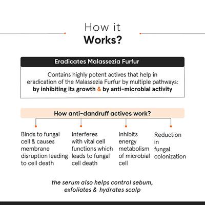 Minimalist Anti-Dandruff Serum CPH Complex + Oligopeptide 0.8% 50 ml - Hair Serums
