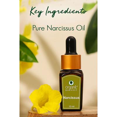Organic Harvest Narcissus Essential Oil 10 ml - Essential Oils