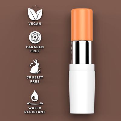 Bella Voste 4-In-1 Makeup Stick Orange (21) 5.5 Gm - Nail Polish